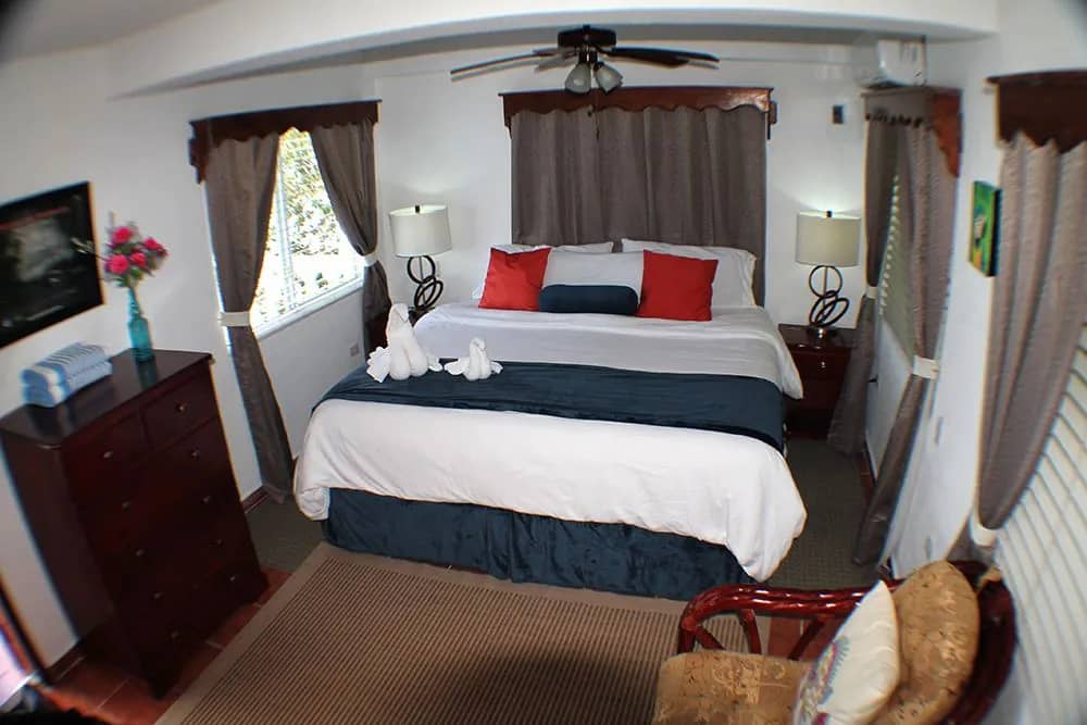 Oceanfront Room King - image