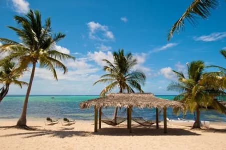 A beach cabana with hammocks at Little Cayman Beach Resort