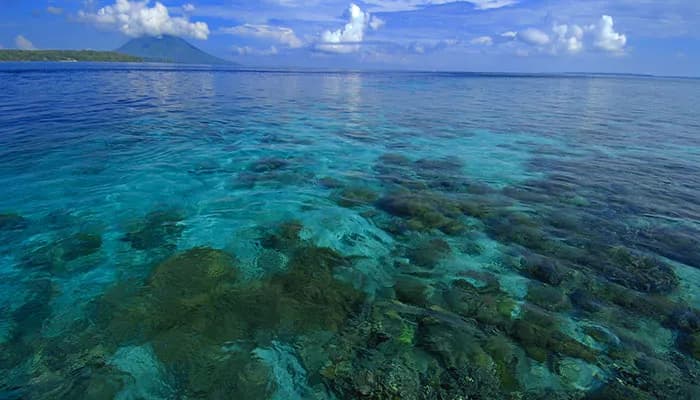 Diving at Siladen Resort & Spa Bunaken