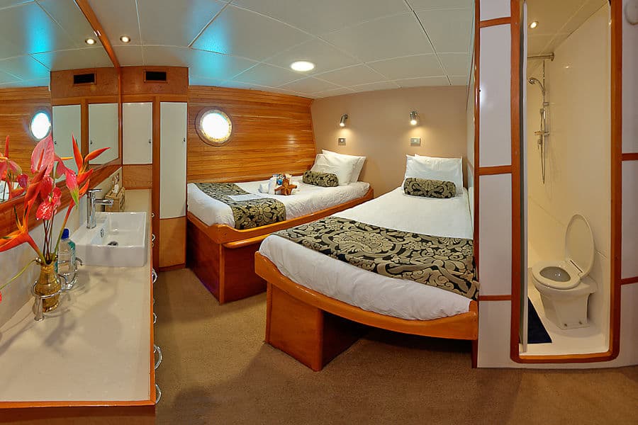 Twin Cabin Lower Deck - image Twin Cabin Lower Deck - image