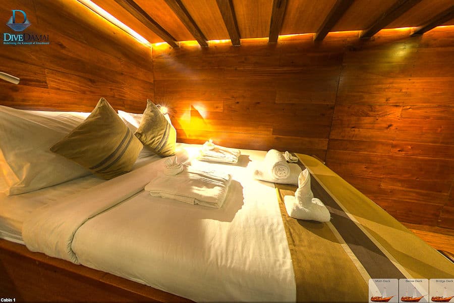 Deluxe single Lower Deck - image