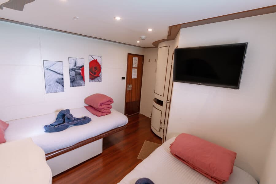 Twin Lower Deck - image