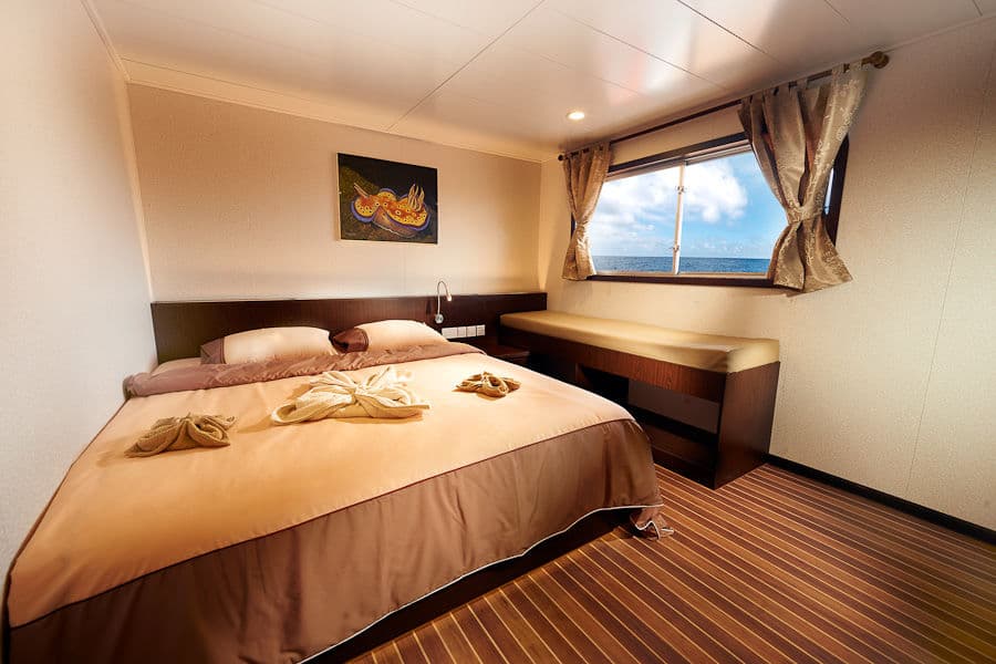 Stateroom Lower Deck - image