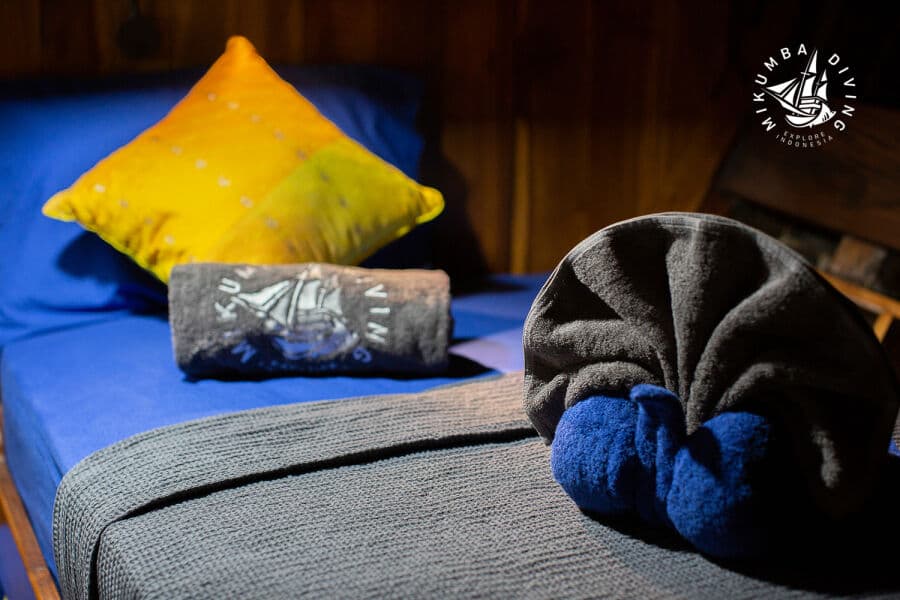 Standard Twin Lower Deck - image