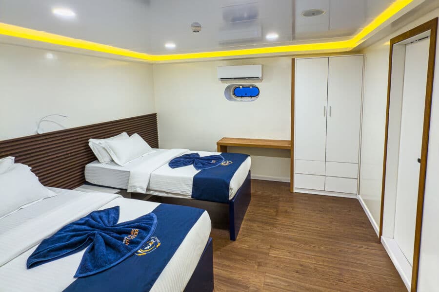 Standard Lower Deck - image