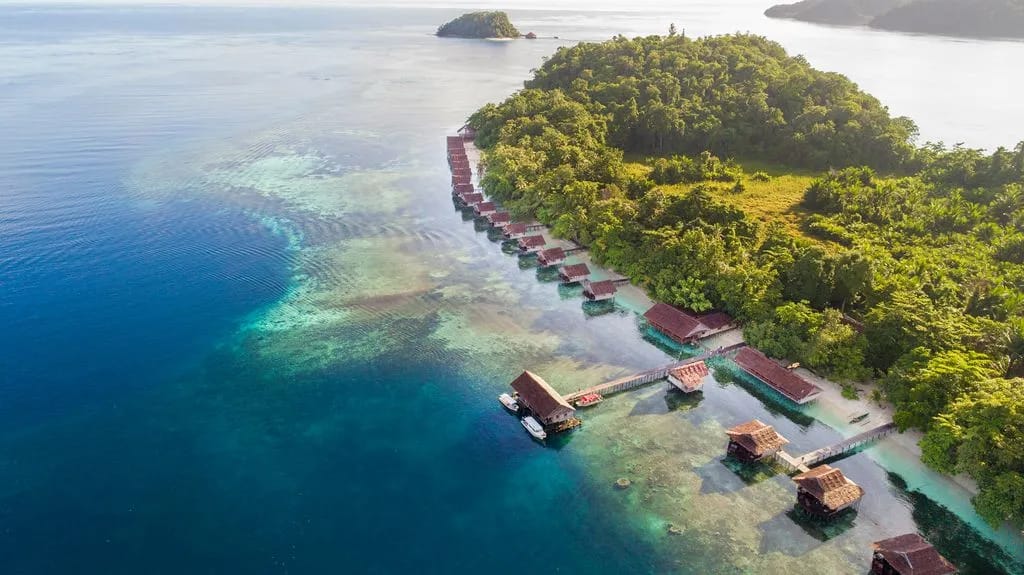 Papua Paradise Eco Resort - image