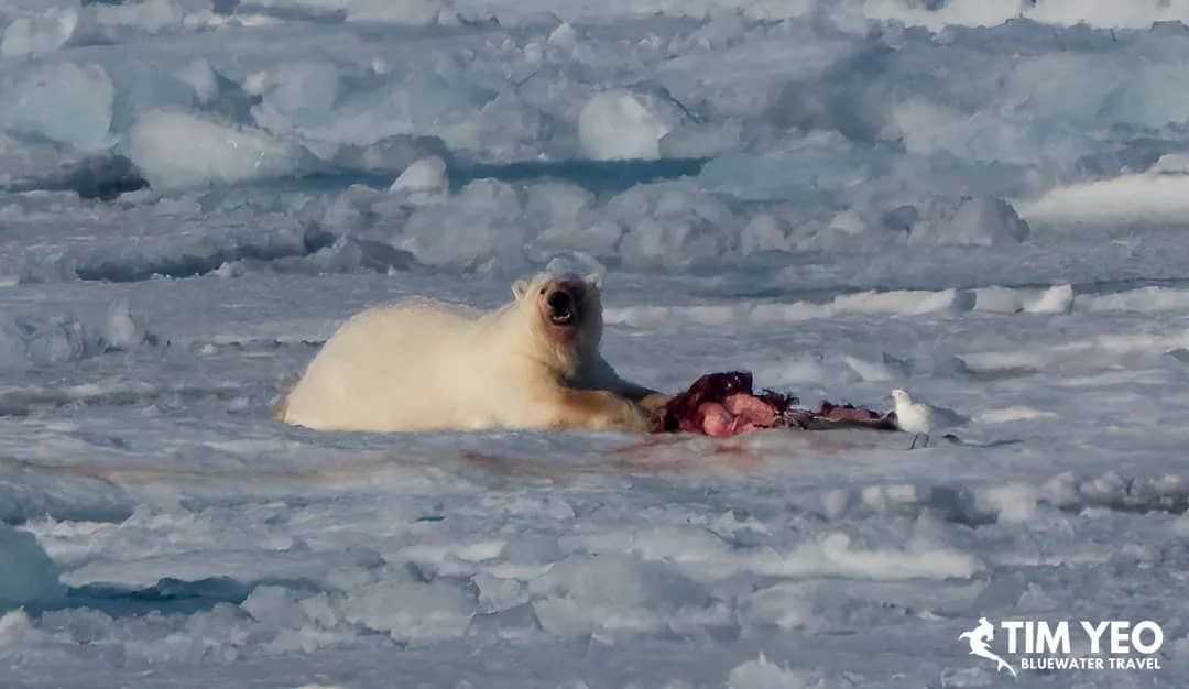 Svalbard, Norway Trip Recap 2024 Svalbard, Norway Trip Recap 2024