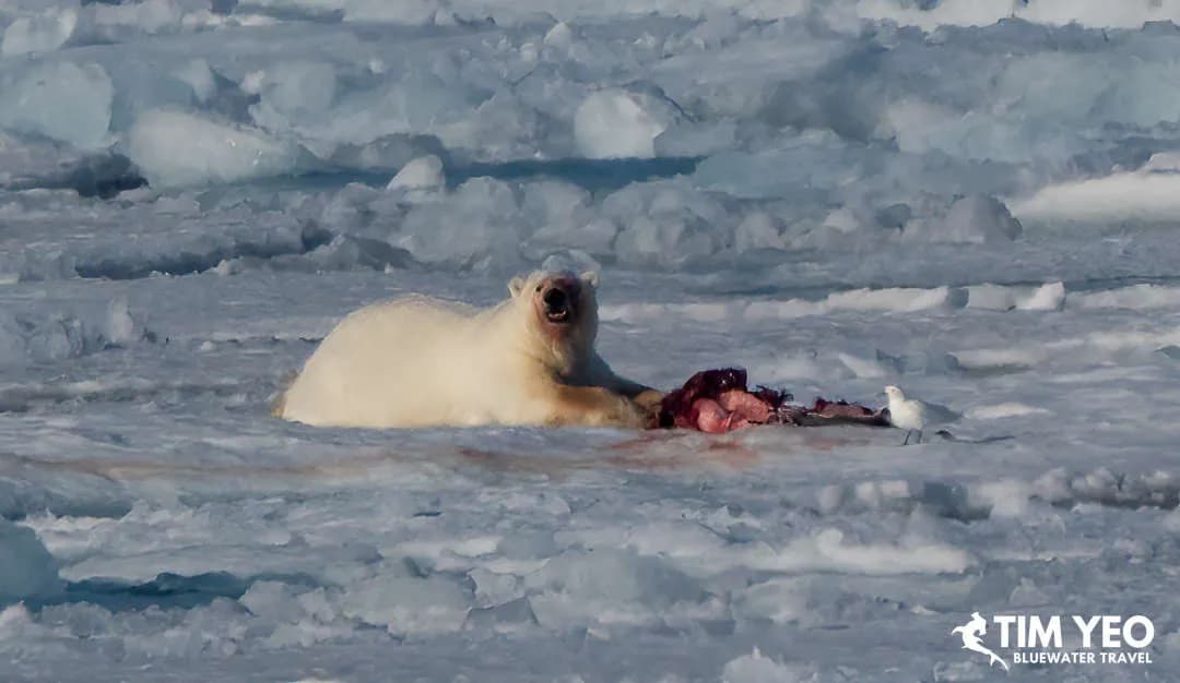 Svalbard, Norway Trip Recap 2024 - image Svalbard, Norway Trip Recap 2024 - image