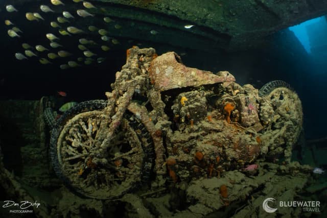 Red Sea 2025 Trip Recap Red Sea 2025 Trip Recap