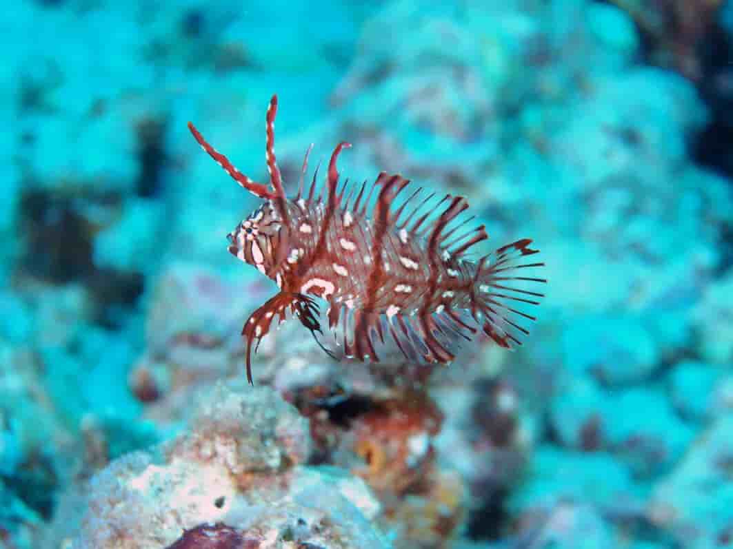 Thumbnail 6 Thumbnail 6