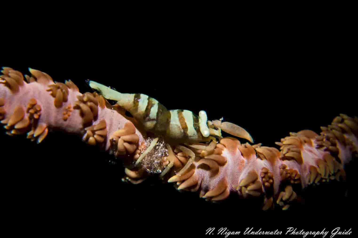 Thumbnail 4 Thumbnail 4