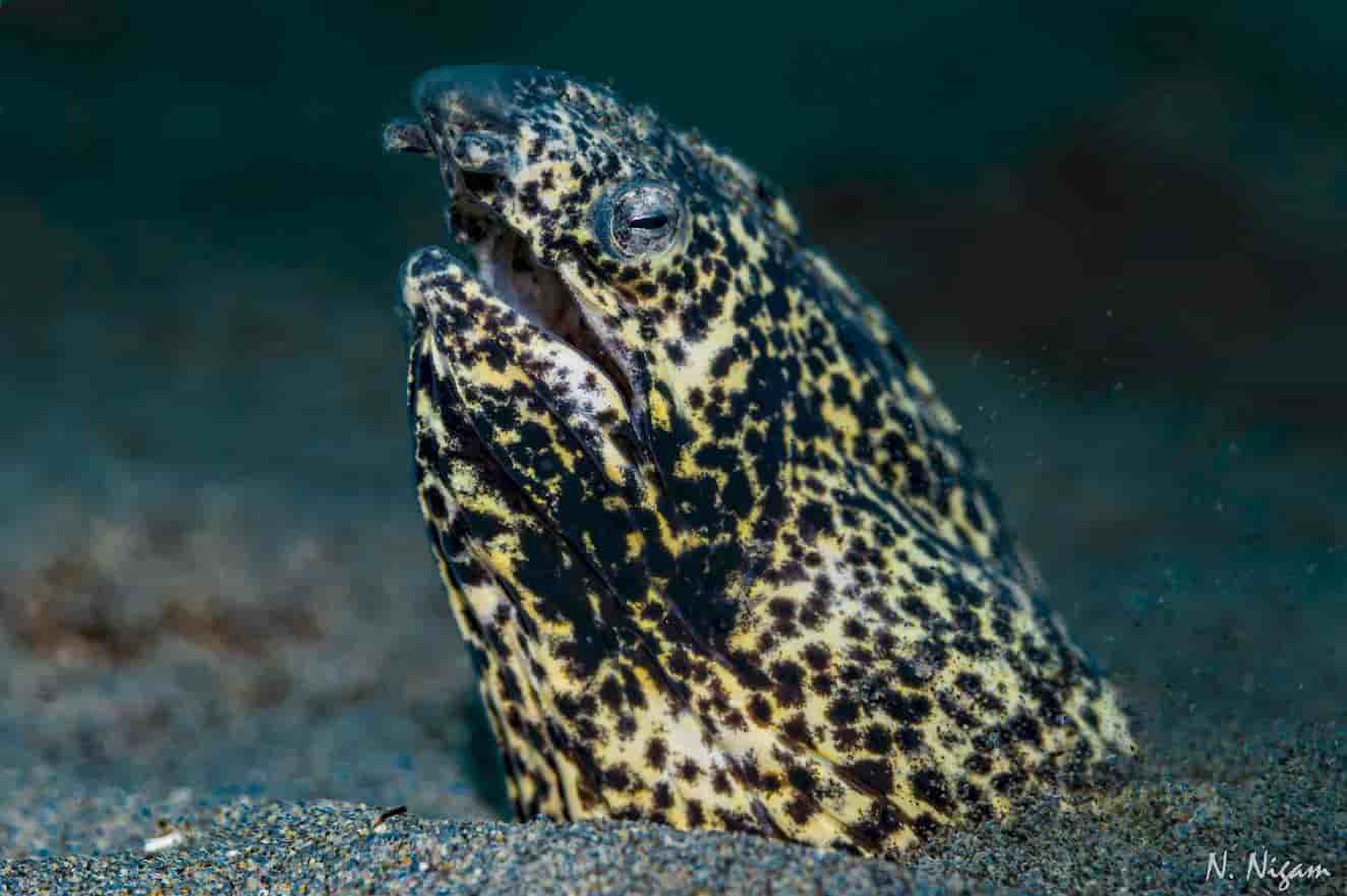 Thumbnail 6 Thumbnail 6