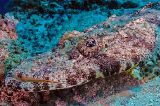 Thumbnail 1 Thumbnail 1