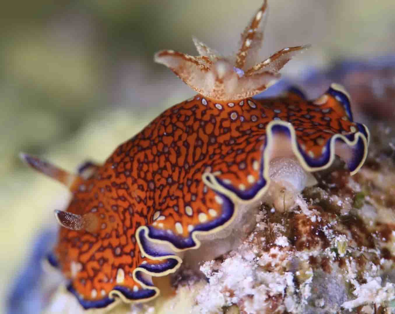 Thumbnail 2 Thumbnail 2