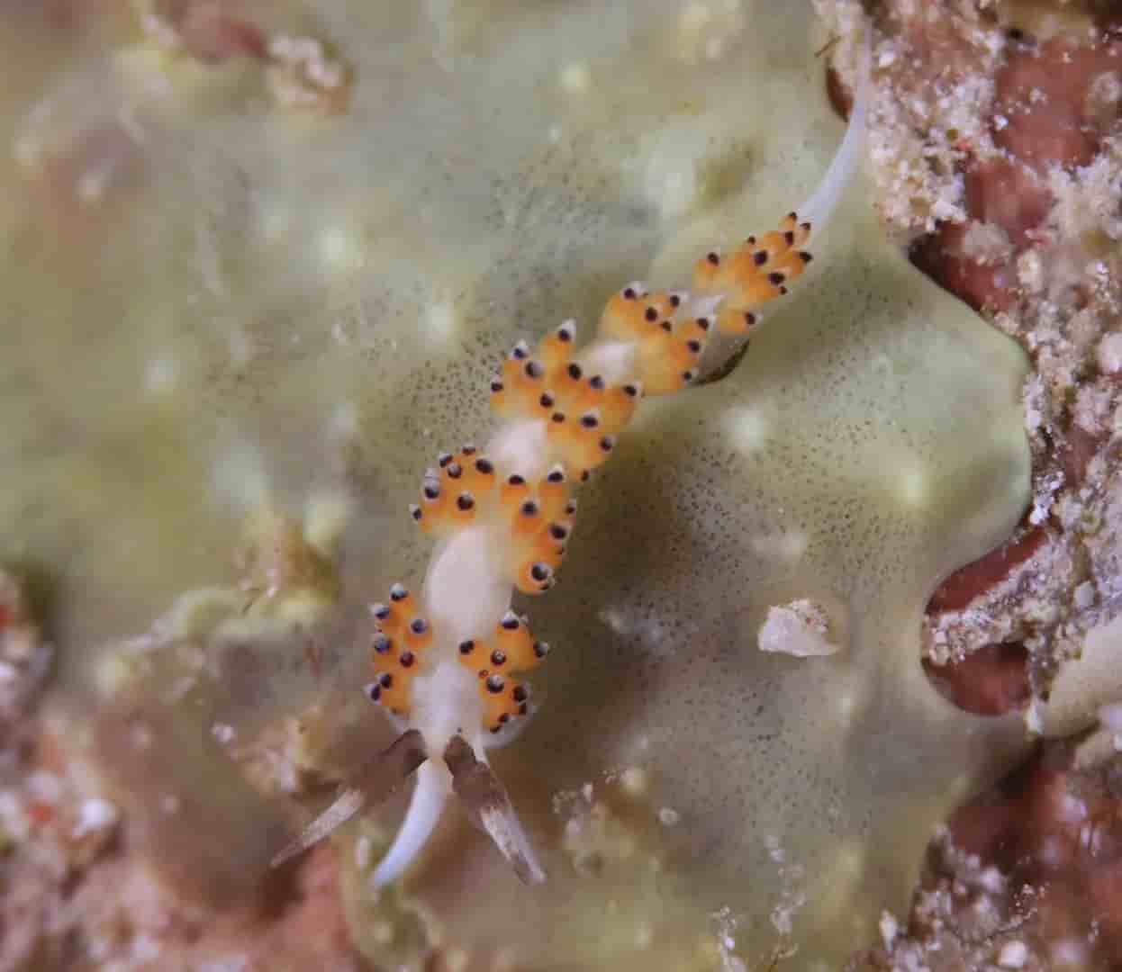 Thumbnail 3 Thumbnail 3