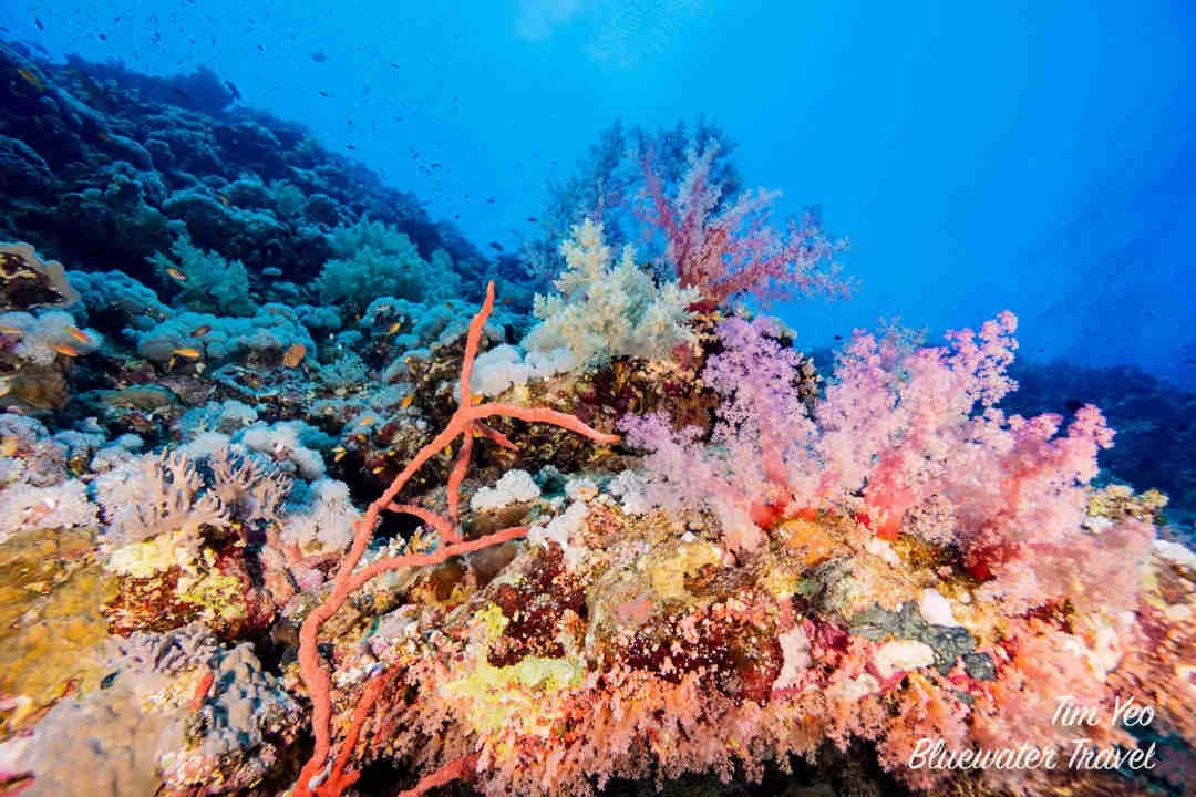 Sudan - image Sudan - image