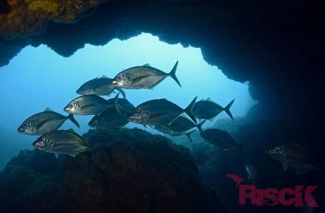 Azores - image Azores - image