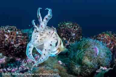 Thumbnail 2 Thumbnail 2