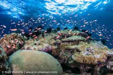 Thumbnail 4 Thumbnail 4