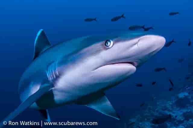 Thumbnail 5 Thumbnail 5