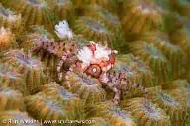 Thumbnail 6 Thumbnail 6