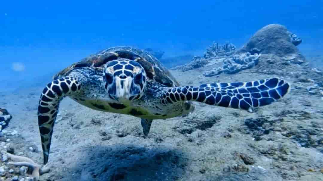 Thumbnail 2 Thumbnail 2