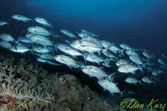 Thumbnail 2 Thumbnail 2