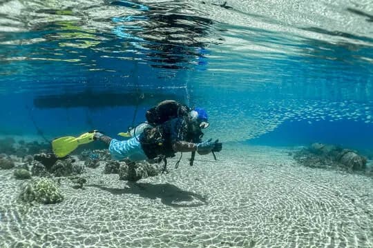 Vanuatu - image Vanuatu - image