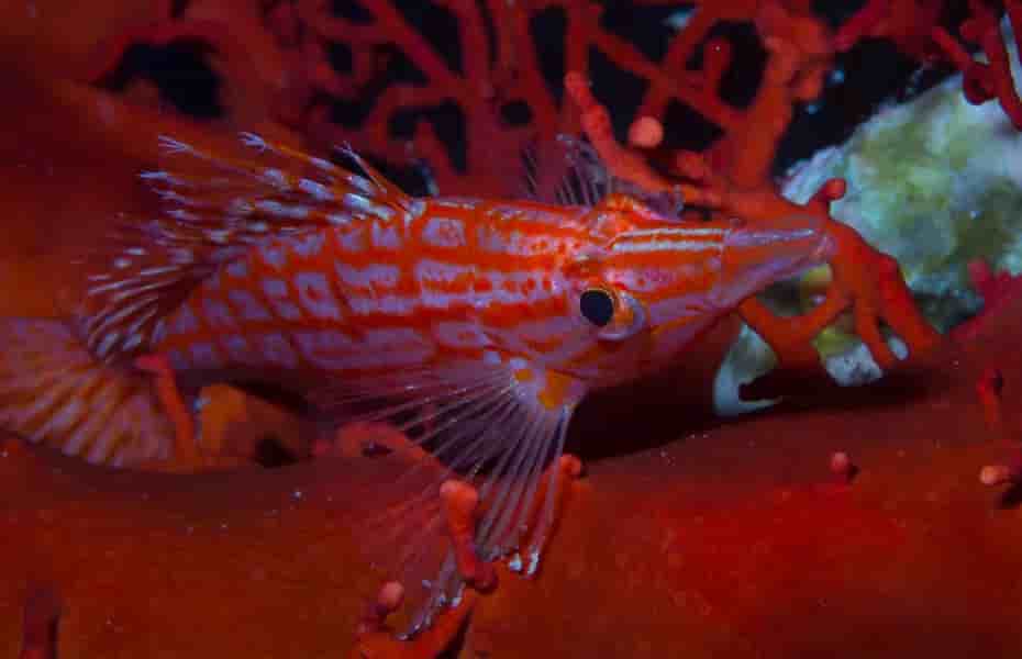 Thumbnail 5 Thumbnail 5