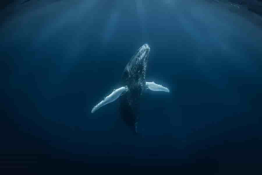 Thumbnail 9 Thumbnail 9