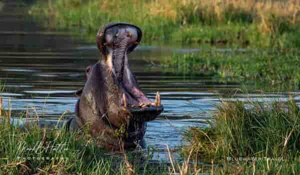 Thumbnail 1 Thumbnail 1