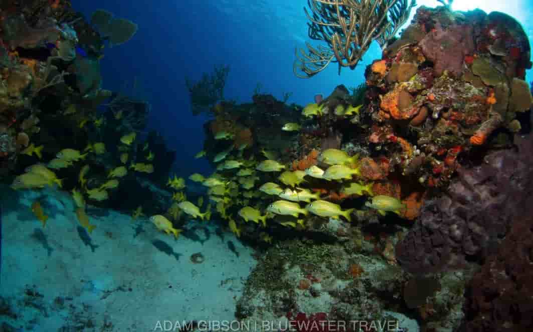 Thumbnail 4 Thumbnail 4