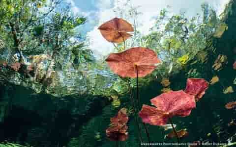 Thumbnail 7 Thumbnail 7