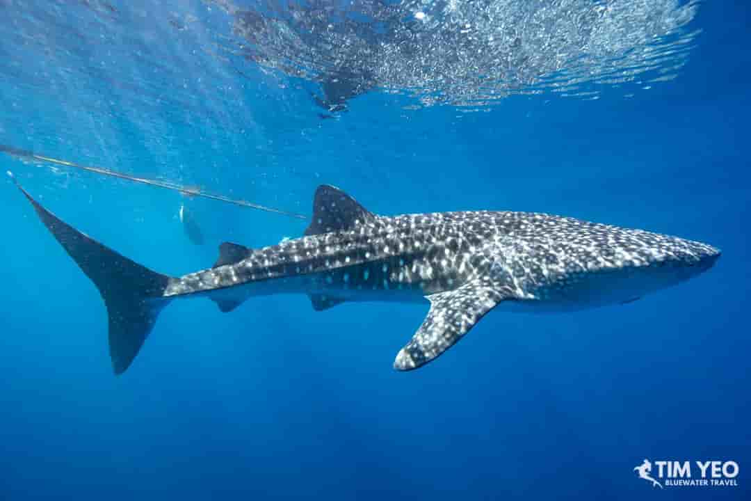 Thumbnail 10 Thumbnail 10