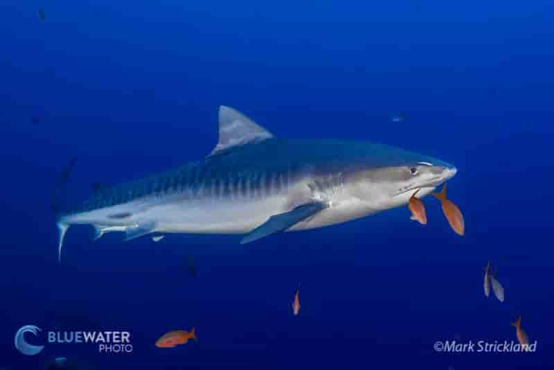 Thumbnail 2 Thumbnail 2