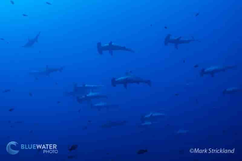 Thumbnail 3 Thumbnail 3