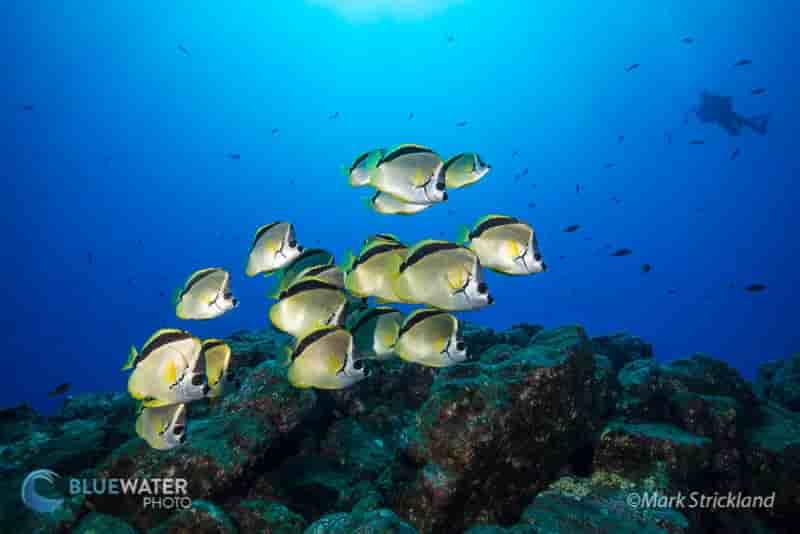 Thumbnail 4 Thumbnail 4