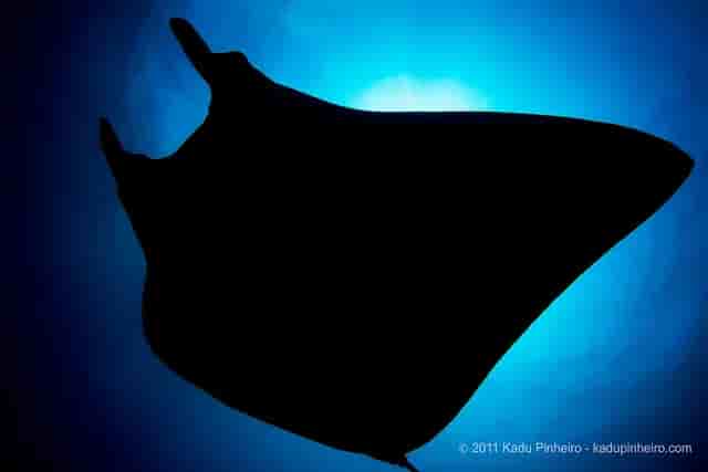 Thumbnail 9 Thumbnail 9