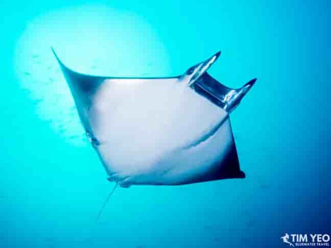 Thumbnail 8 Thumbnail 8