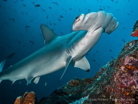 Costa Rica - image Costa Rica - image