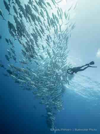 Thumbnail 3 Thumbnail 3