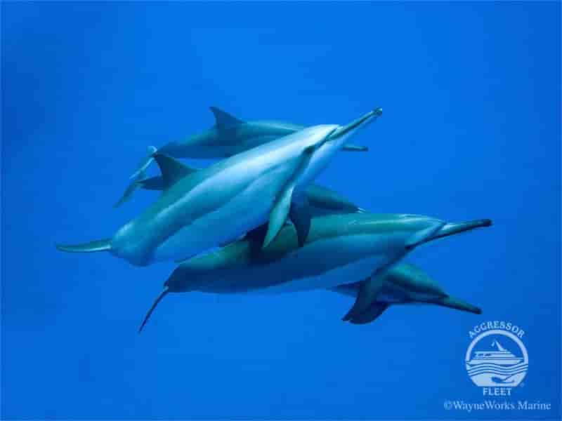 Thumbnail 3 Thumbnail 3