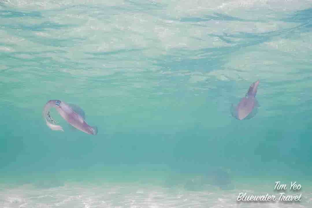 Thumbnail 1 Thumbnail 1