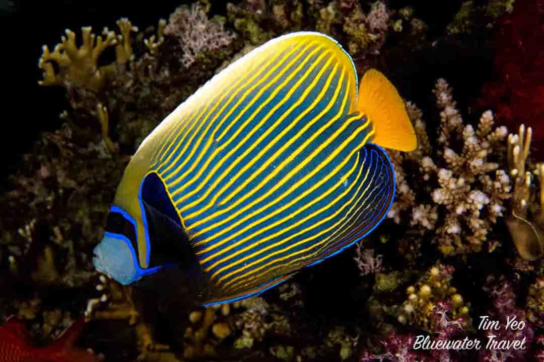 Thumbnail 2 Thumbnail 2