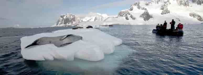 Thumbnail 2 Thumbnail 2