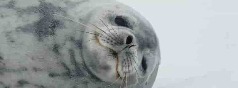 Thumbnail 6 Thumbnail 6