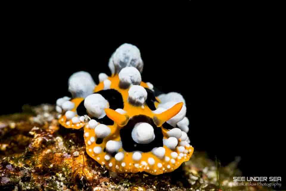 Thumbnail 2 Thumbnail 2