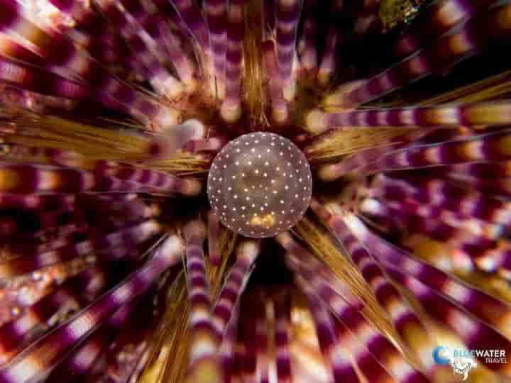 Thumbnail 10 Thumbnail 10