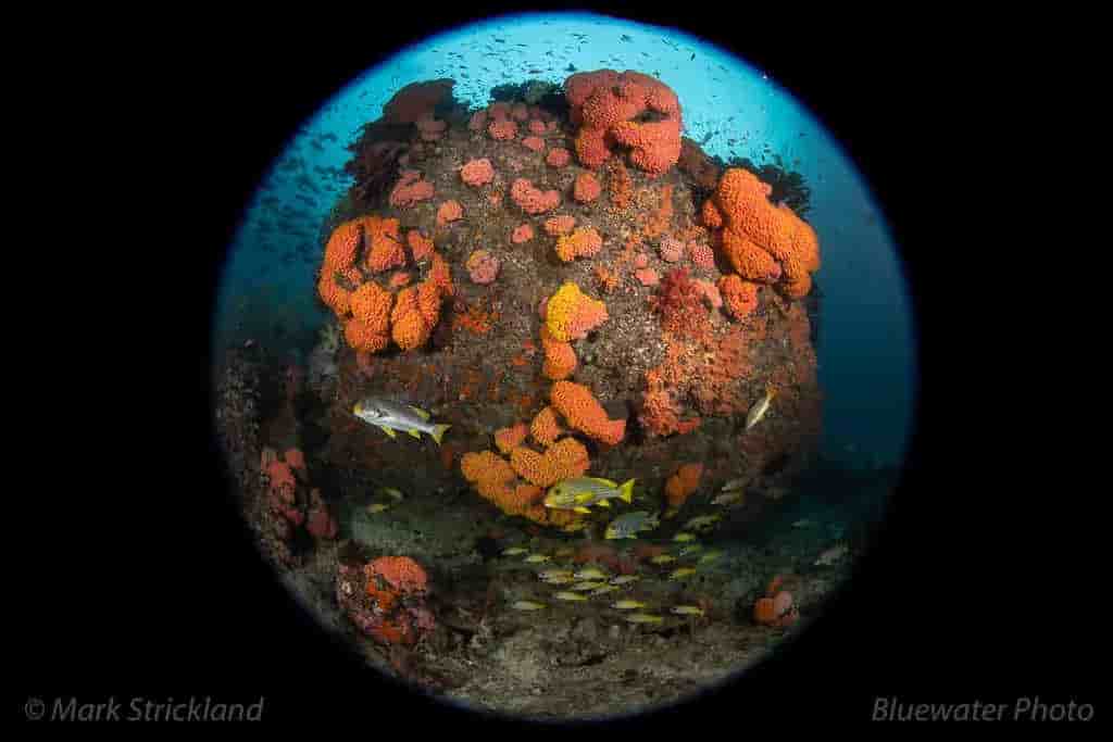 Thumbnail 5 Thumbnail 5