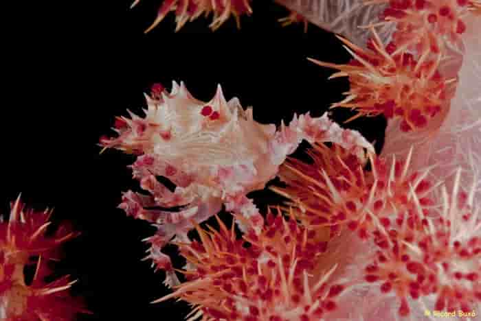 Thumbnail 1 Thumbnail 1